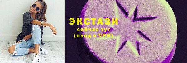 молекула духа Богородицк