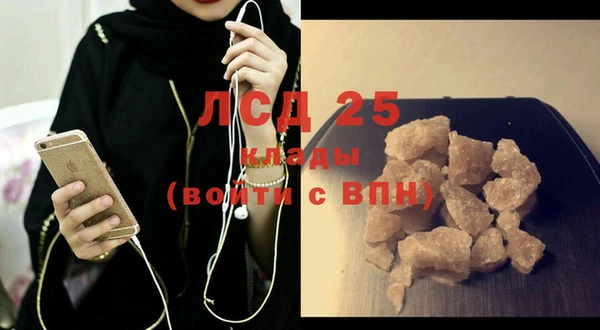 гашик Богданович