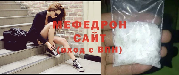 молекула духа Богородицк