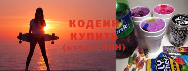 молекула духа Богородицк