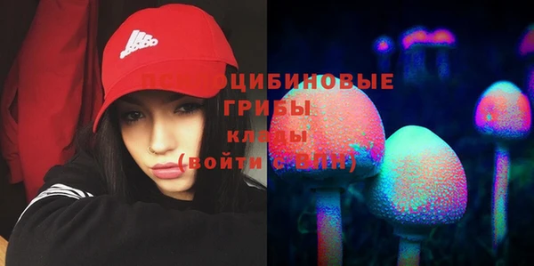 гашик Богданович