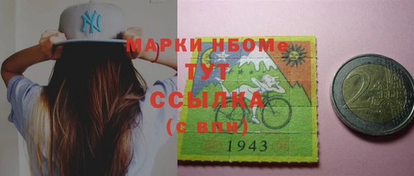 молекула духа Богородицк