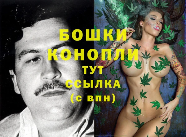 молекула духа Богородицк