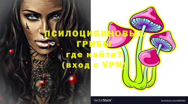 молекула духа Богородицк