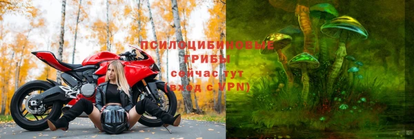 гашик Богданович