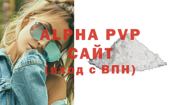 молекула духа Богородицк