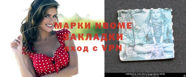 молекула духа Богородицк