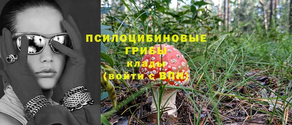 молекула духа Богородицк