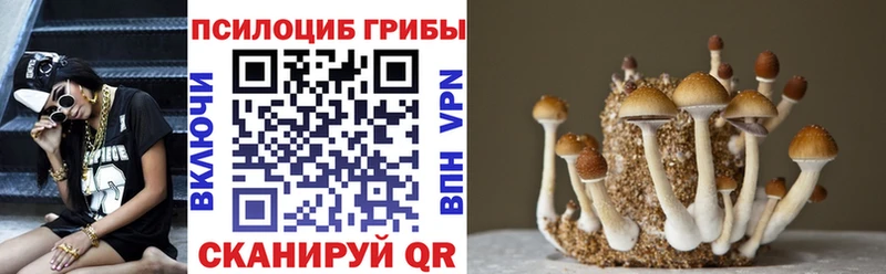 даркнет формула  наркошоп  Новосибирск  Псилоцибиновые грибы GOLDEN TEACHER 